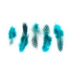 Plumas Turquesa