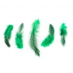 Plumas Verdes