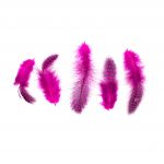 Plumas Fucsia
