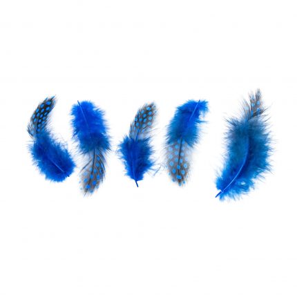 Plumas Azules