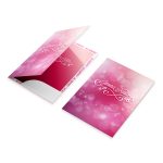 Carpeta estudiante JN - Imagen 2